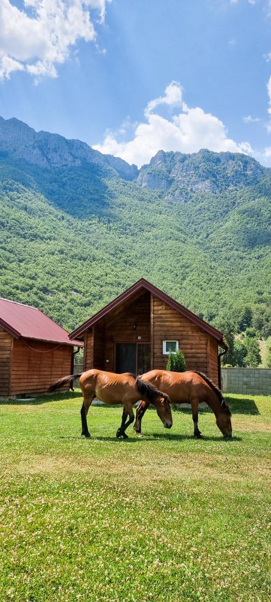 Ethno Katun Rosi Agrotourism Hotel Gusinje Exterior foto