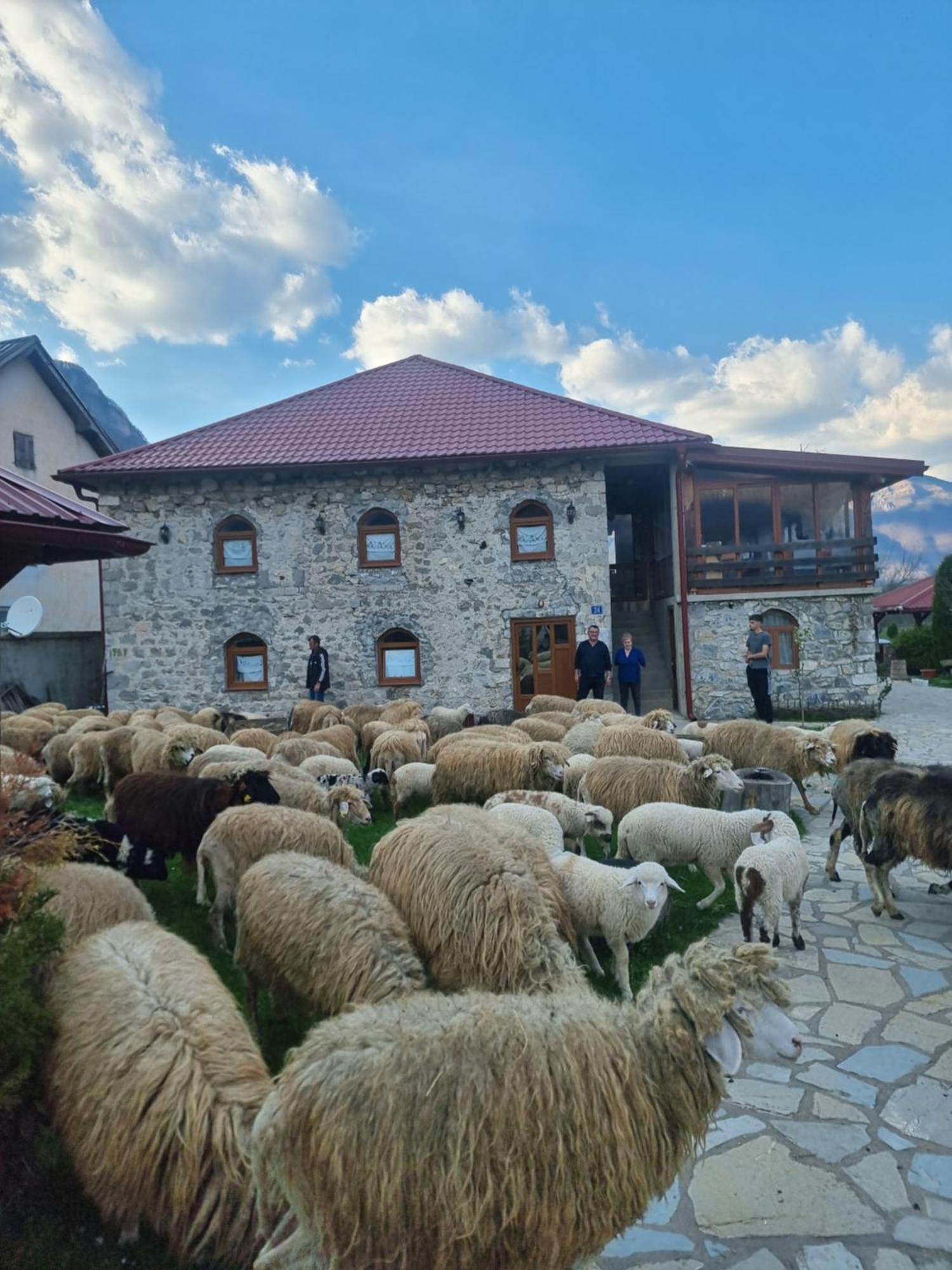 Ethno Katun Rosi Agrotourism Hotel Gusinje Exterior foto