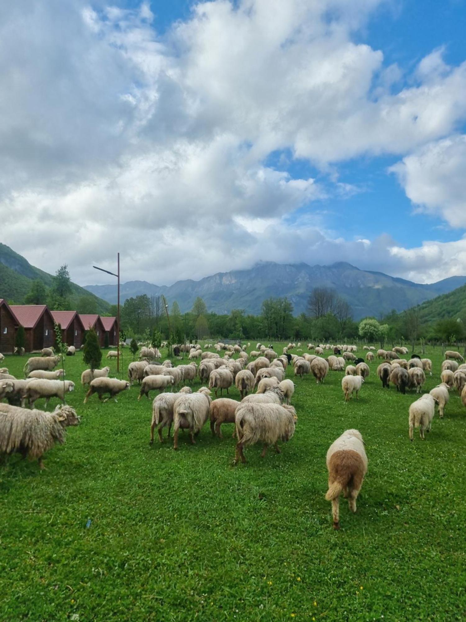 Ethno Katun Rosi Agrotourism Hotel Gusinje Exterior foto